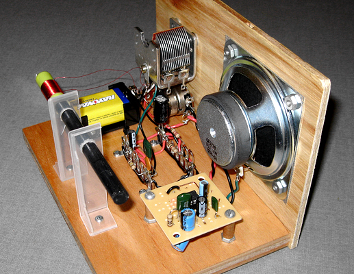 Ferrite Ferret side view